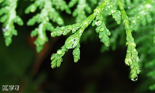 下雨心情語錄